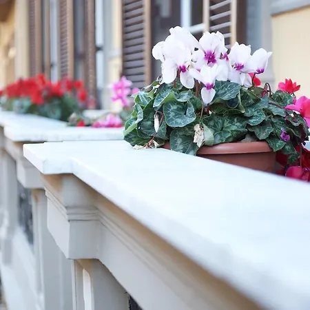 Duomo Bed & Breakfast 4*